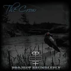 "The Crow" by Project BrundleFly