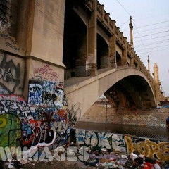 Deep In The Rabbit Hole