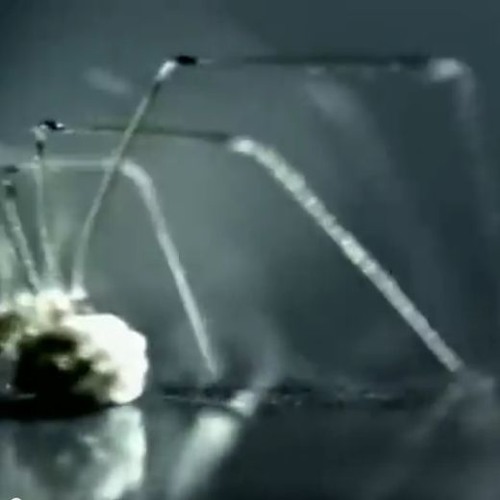 Stricken (by Disturbed) Cirex Remix