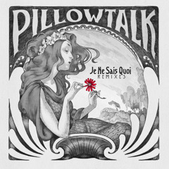 PillowTalk - We All Have Rhythm (Maxxi Soundsystem Remix) [Preview]