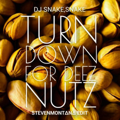 Turn Down For Deez Nuts (StevenMontana Edit)