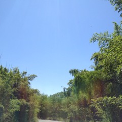 Crescent Loop