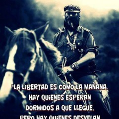 07 Caos - Luis Bastian