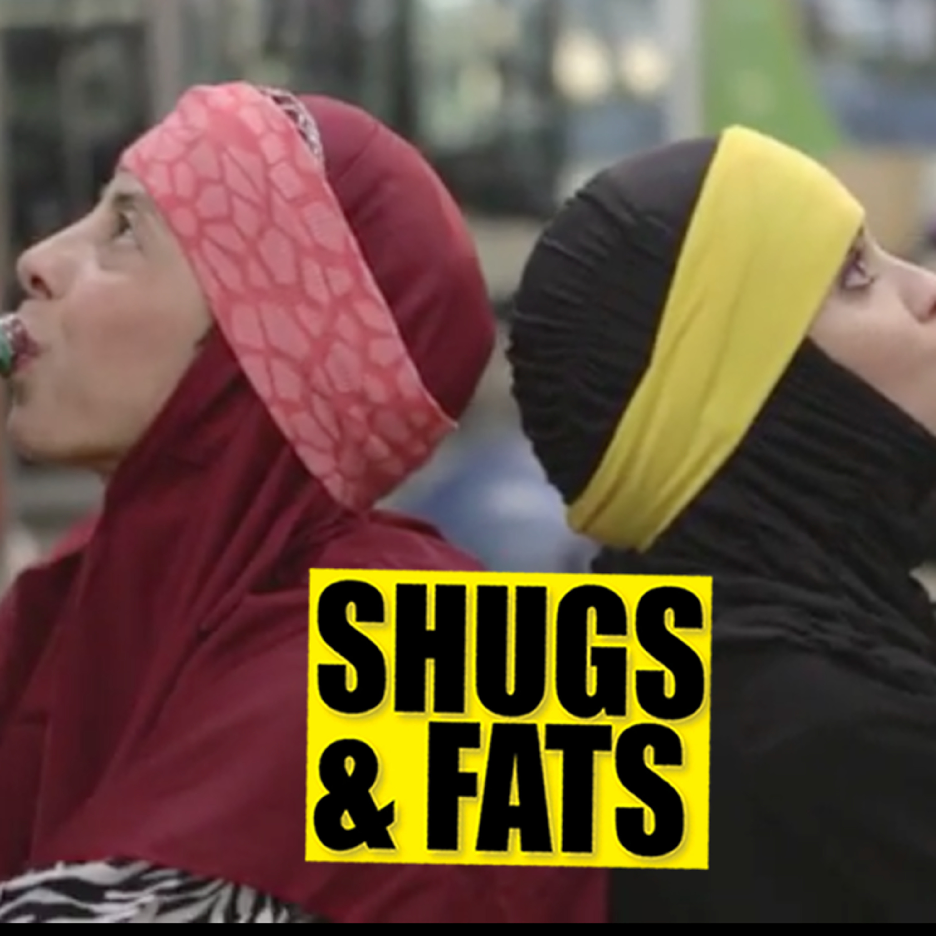 Seeking truth in comedy episode artwork