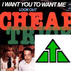 I Want You to Want Me (Cheap Trick Acoustic Cover)