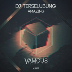 Dj Terselubung - Amazing (Original Mix)