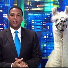 RNN Ep 16 - TEASER#1 "DONT BE DUMB!"