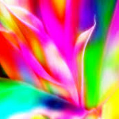 Flying Colors