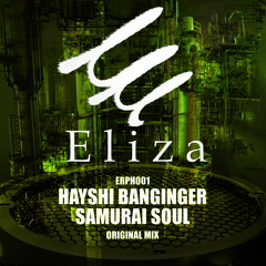Hayashi Banginger - Samurai Soul (Original Mix)