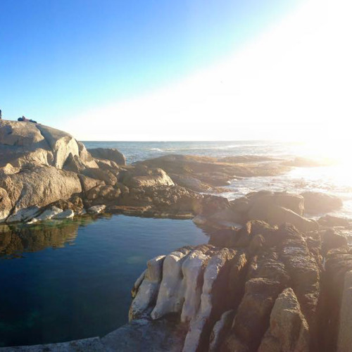 End of Summer Series II : The Summer Outro