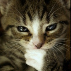 Hip Hop 2015-05-05, 6:35 AM at Hi