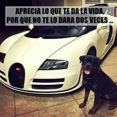 Todo un misterio --(los traviesos de la sierra)