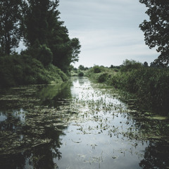 وسم - سلمان العودة