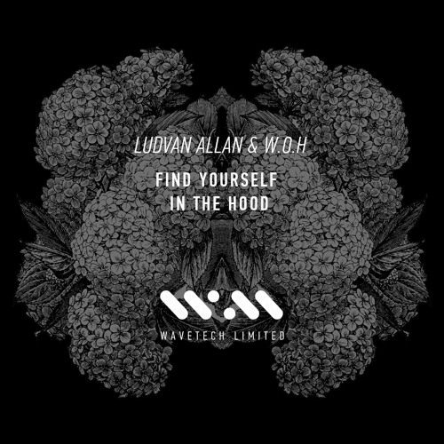 Ludvan Allan & W.O.H. - Circus In The Hood