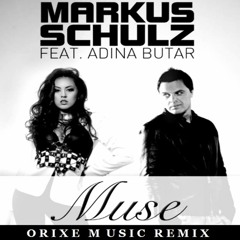 Markus Schulz - Muse (David Orixe remix)