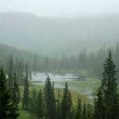 Rainfall