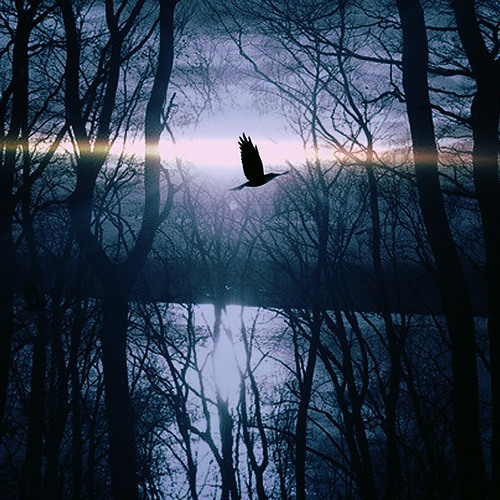 Night#1(Royalty Free Music)