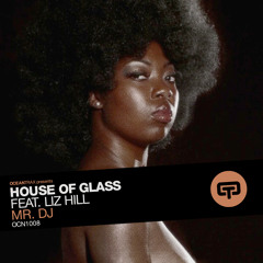 House Of Glass Feat LIZ HILL - Mr DJ - Gianni Bini Is A DJ Vocal Mix Snipped