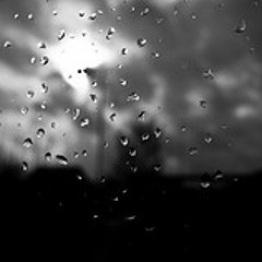 Rain, thunder and birds (Sony PCM D100)