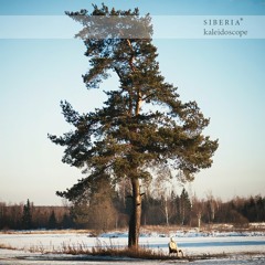 03.Siberia  - She Is The Universe
