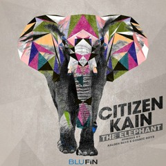 Citizen Kain - The Elephant (Kalden Bess Remix) [Blufin]