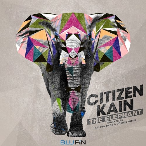 Citizen Kain - The Elephant (Kalden Bess Remix) [Blufin]