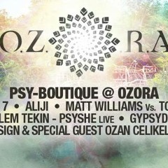DJ Wired - Promo Set - PsyBoutique Day @Ozora Festival 2015