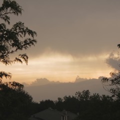 The Destruction of a Lifeform