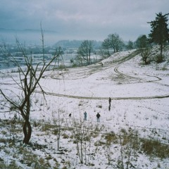 YSHPVL - 30 Лет Спустя