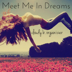 Meet Me In My Dreams- cloudy b. organizer