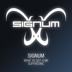 Signum - What Ya Got For Me (Kinetica Remake) ***FREE DOWNLOAD***