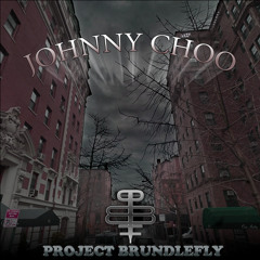 "Johnny Choo"