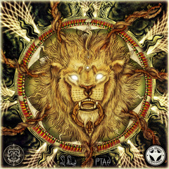 Le Lion - Time Traveler  [Out on Old Ghost Records]