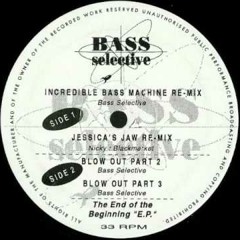 Bass Selective,Blow Out  (You Had It Damage Inc. 2K15)