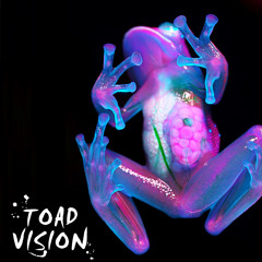 TOAD VISION (featuring Saba)