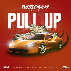 TurtleGang-Pull Up