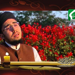 Hafiz Abdul Qadir Vol 9 Saad R T Nama