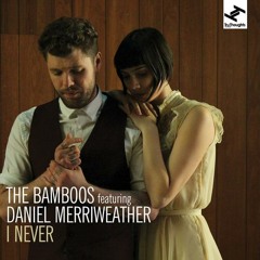 The Bamboos - I Never (feat, Daniel Merriweather)