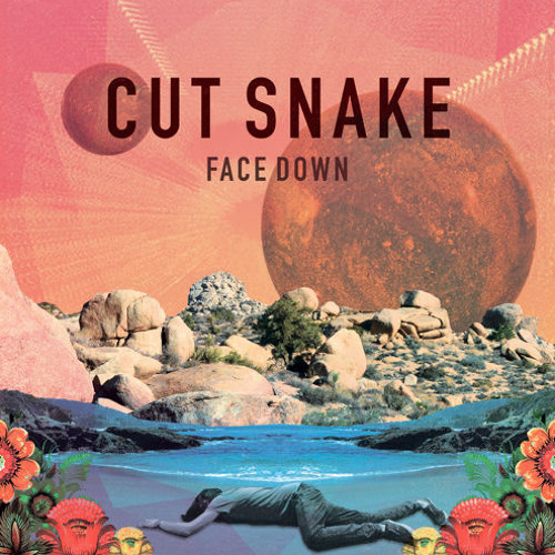 Cut Snake - Face Down (Jad & The Remix) FREE DOWNLOAD