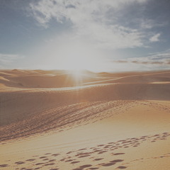 Дервиш В Пустыне (Посвящение Ришаду Шафи)