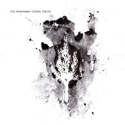 The Telescopes - Hidden Fields (SNIPPETS)