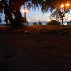 The Birds In The Backyard Tell Me When The Sun Rises, 2013