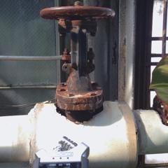 534 / lincoln park conservatory steam valve