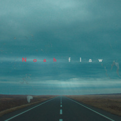 Noah - Flaw (single edit)