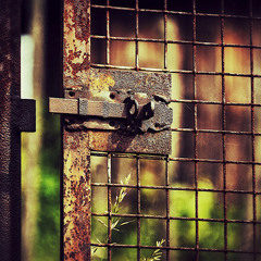 River Avon Clanging Gate (Sound Installation for Cities and Memories - Bath)