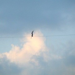 Tightrope in a field in France