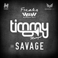 Timmy Trumpet & Savage - Freaks (W&W Bigroom Edit)