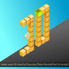 feeder sound 30 mixed by Plusculaar [Mulen Records]