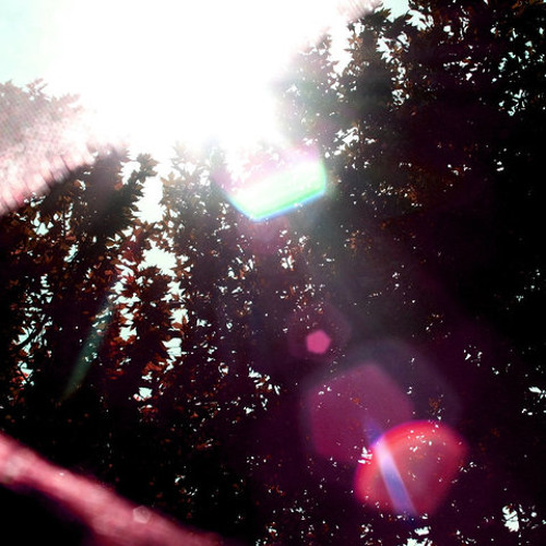 Legacy Of A Distorted Memory