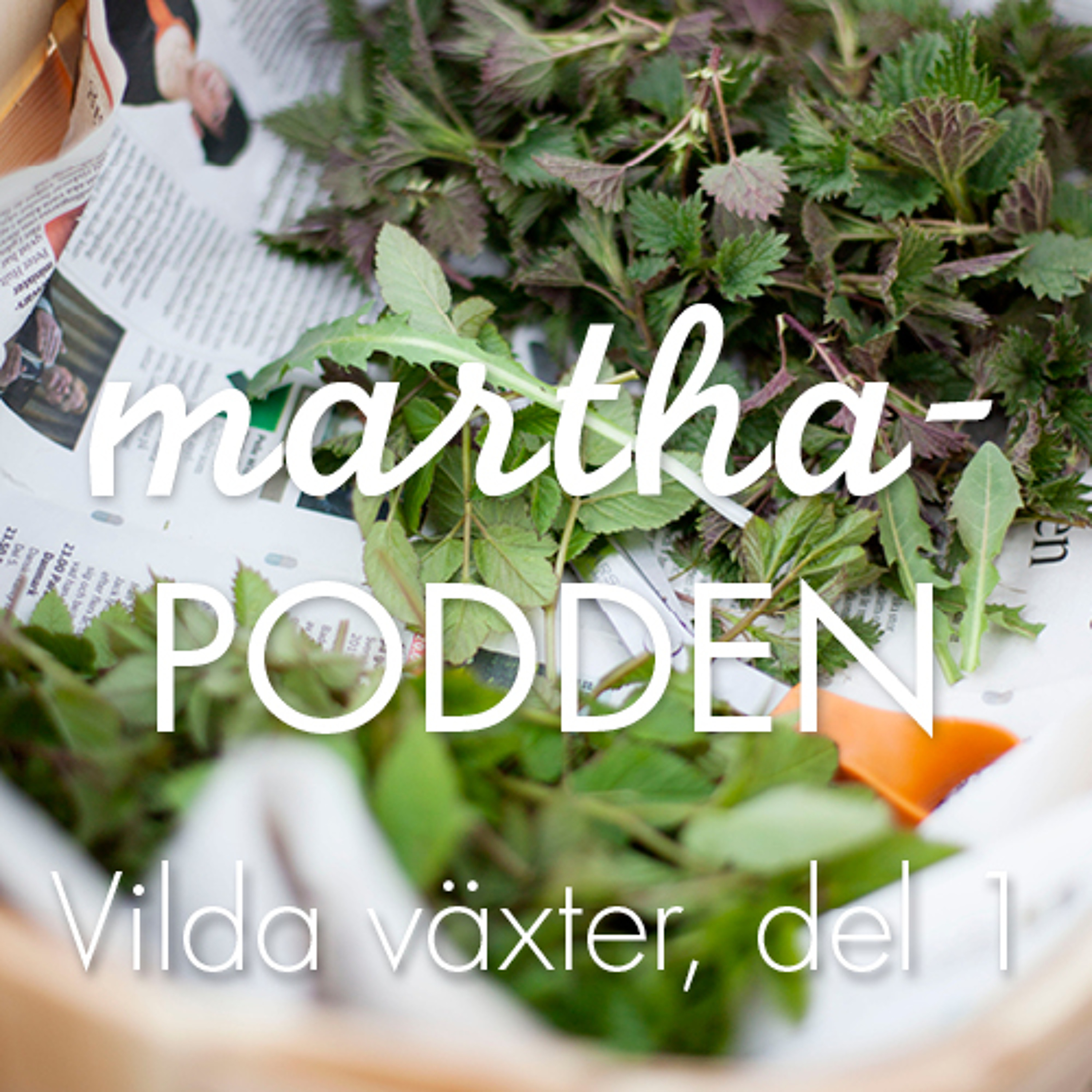 Marthaförbundet